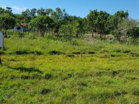 2 Hermosos Lotes En Altos