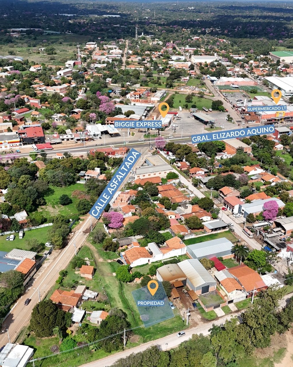 EN VENTA TERRENO EN LIMPIO — foto 2
