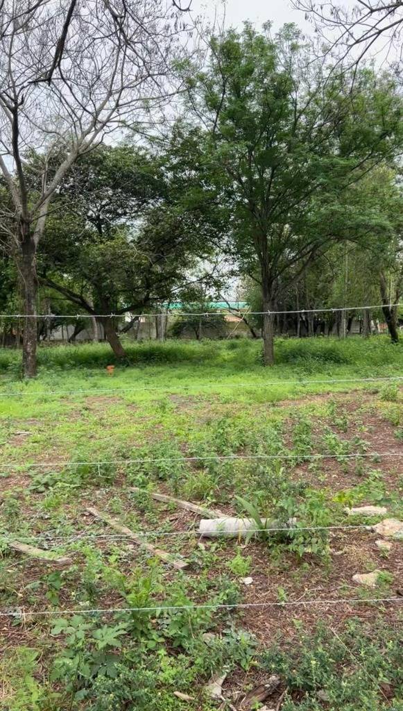 ALQUILO TERRENO EN SAN BERNARDINO SOBRE AV PRINCIPAL — foto 3