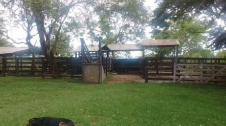 Estancia Coronel Oviedo 53 Hectareas Para Ganaderia Semi Intensiva