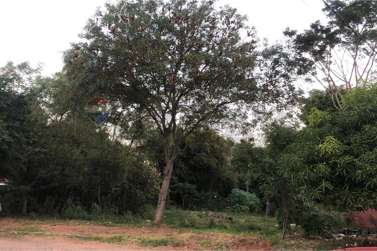 Terreno - Venta - San Lorenzo - Virgen del Rosario — foto 2
