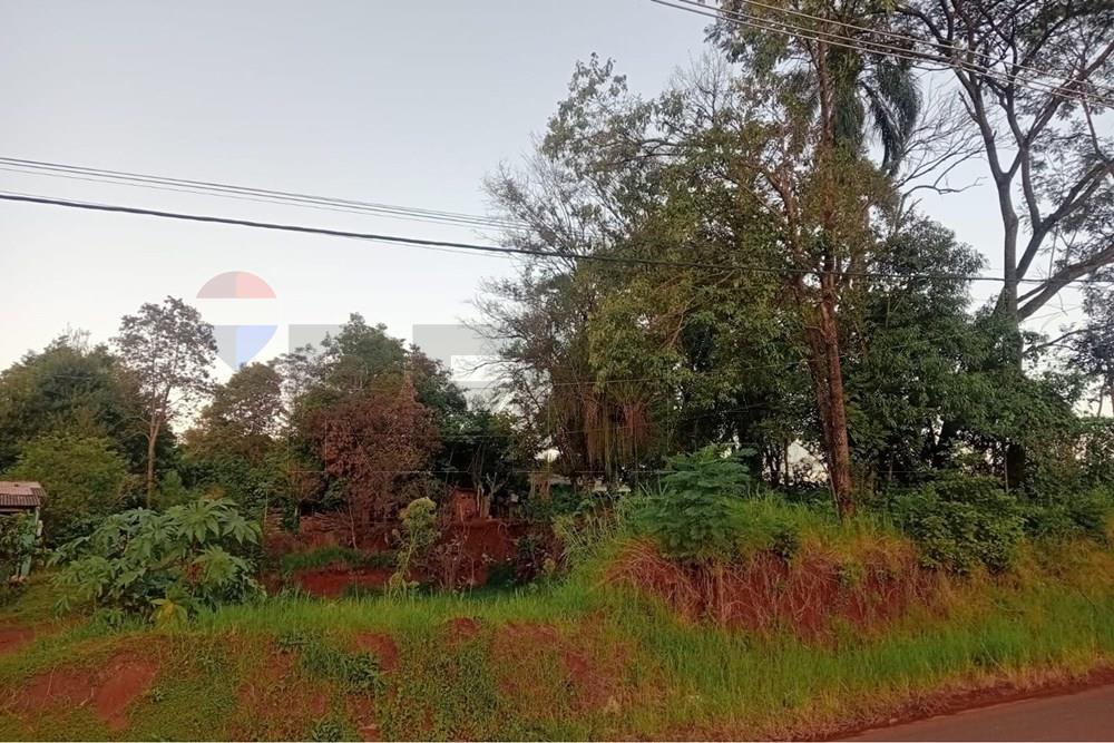 VENDO TERRENO EN ACARAY DE ALTO PARANÁ CIUDAD DEL ESTE — foto 3
