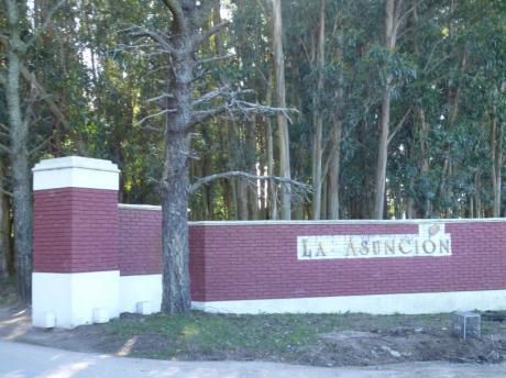 La Asunción