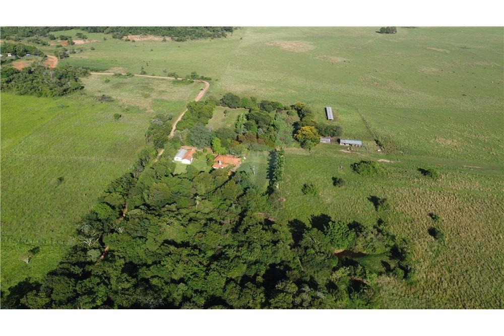 VENDO CAMPO GANADERO CLASE A EN MISIONES — foto 2