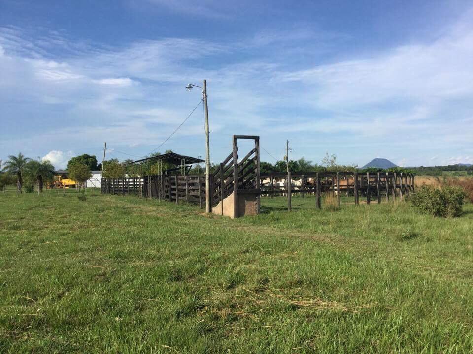 VENDO CAMPO LISTO PARA PRODUCIR  EN YBYCUI — foto 3