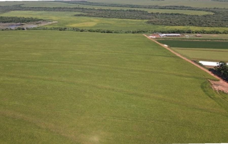 Vendo Campo Agrícola de 1.064 Hectáreas en Santa Rita - CLCS6165696 — foto 3