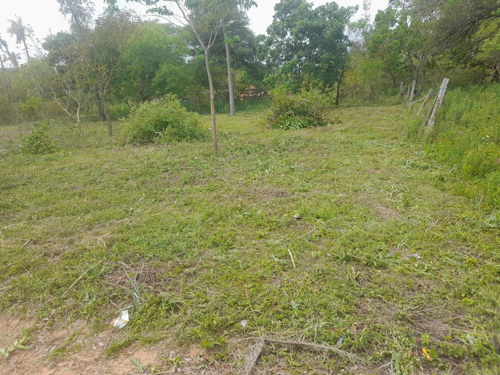 TERRENO PARA INVERSIÓN EN SANTA ROSA DEL AGUARAY — foto 2