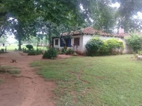 Vendo 173.has Con Casa Quinta Y Naciente Dearroyo
