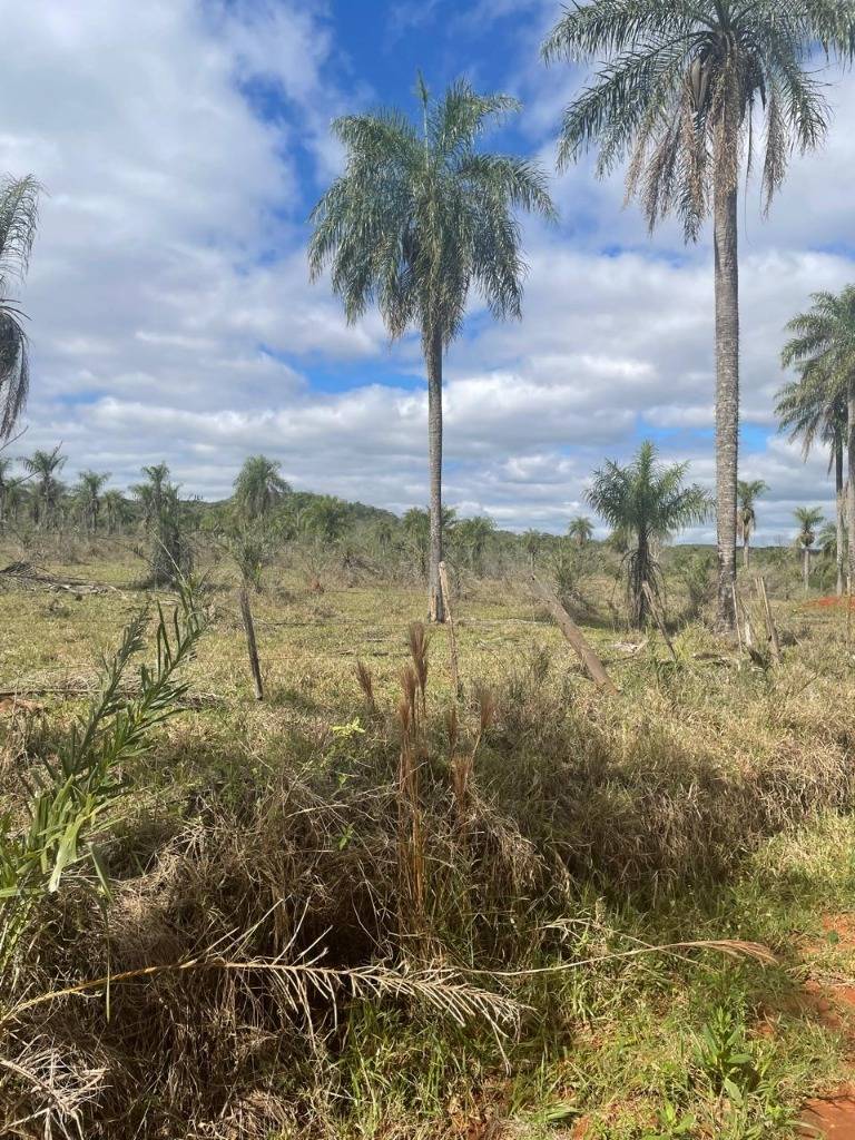 EN VENTA 4O HECTAREAS EN YBYCUI — foto 3