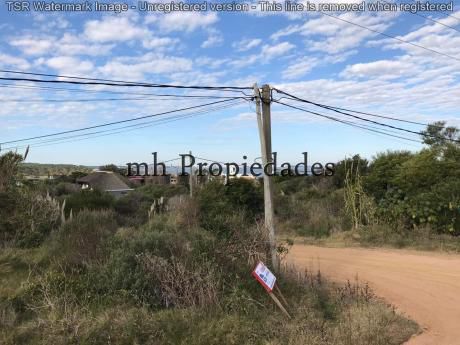 Espectacular Terreno En Punta Ballena
