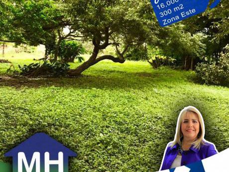 Lote De 300 Mtrs A Solo 16.000$