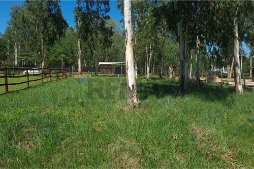 Terreno - Venta - San Bernardino, Cordillera, Paraguay — foto 3