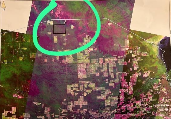 VENDO 12.000 HECTAREAS EN KUARAJHY RETA - CLLA4771247 — foto 2