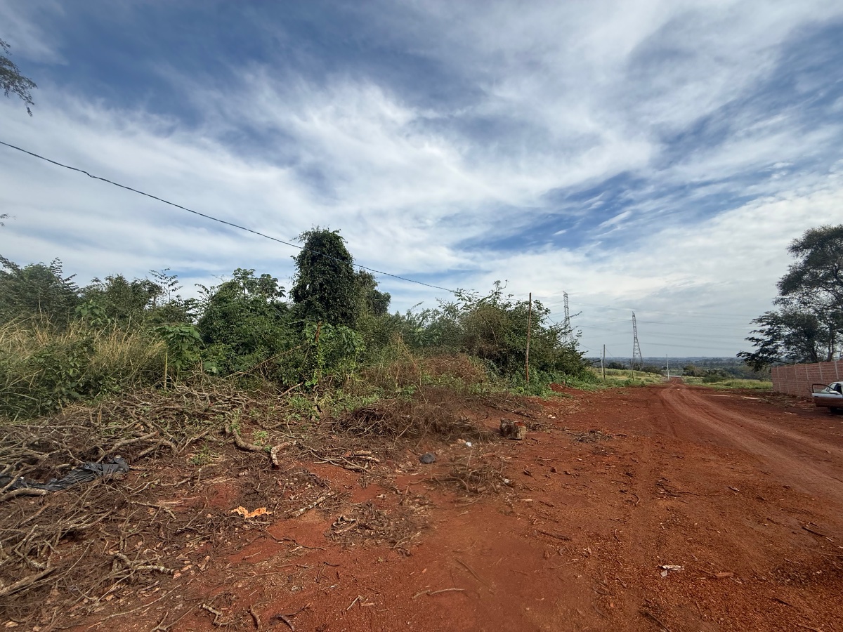 Terreno de 10.000 m² en Esquina sobre Ruta – Hernandarias — foto 2