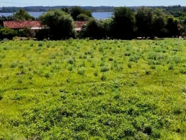 TERRENO 3.677 M2 SAN ANTONIO YPECURU ENCARNACIÓN A — foto 3