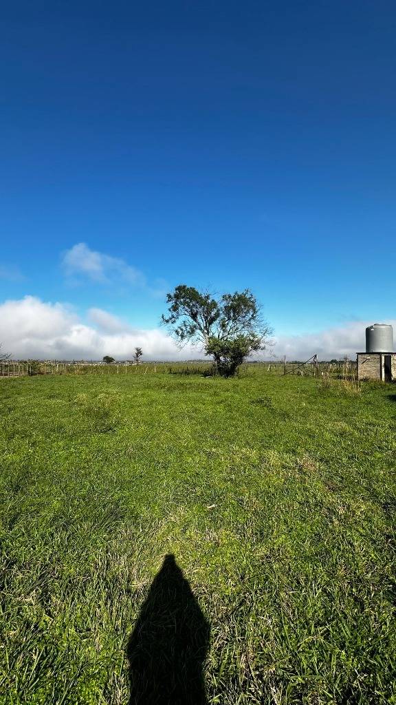 EN VENTA CAMPO DE 50 HAS EN ARROYOS Y ESTEROS — foto 3