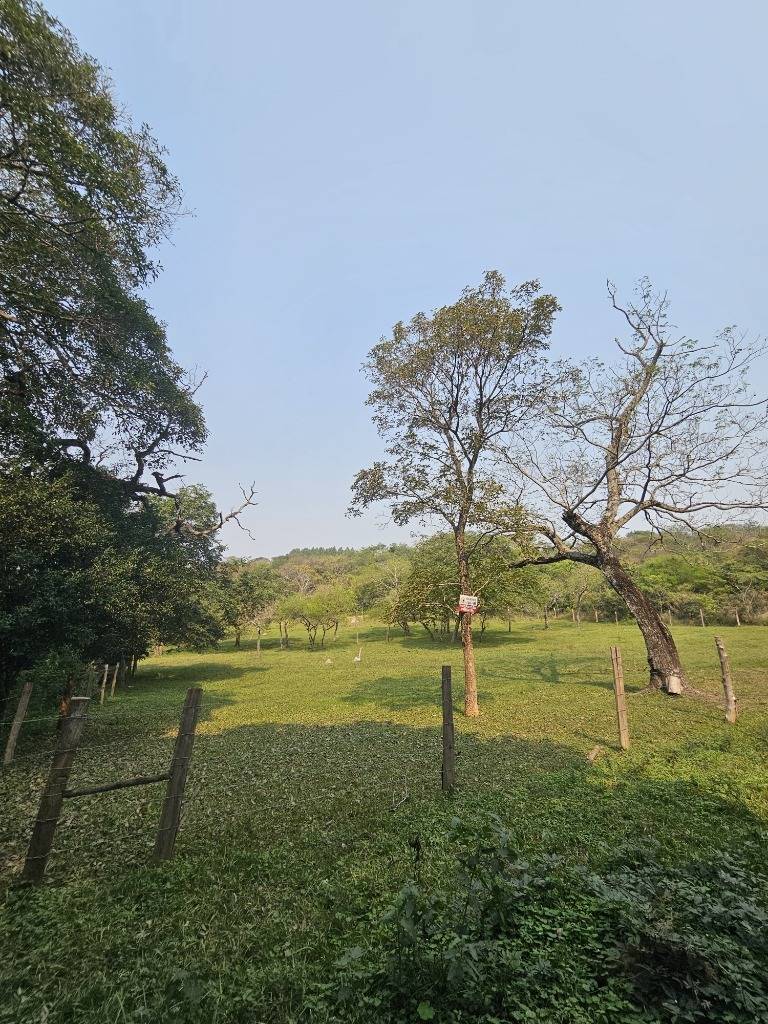 VENDO PROPIEDAD EN ALTOS — foto 2
