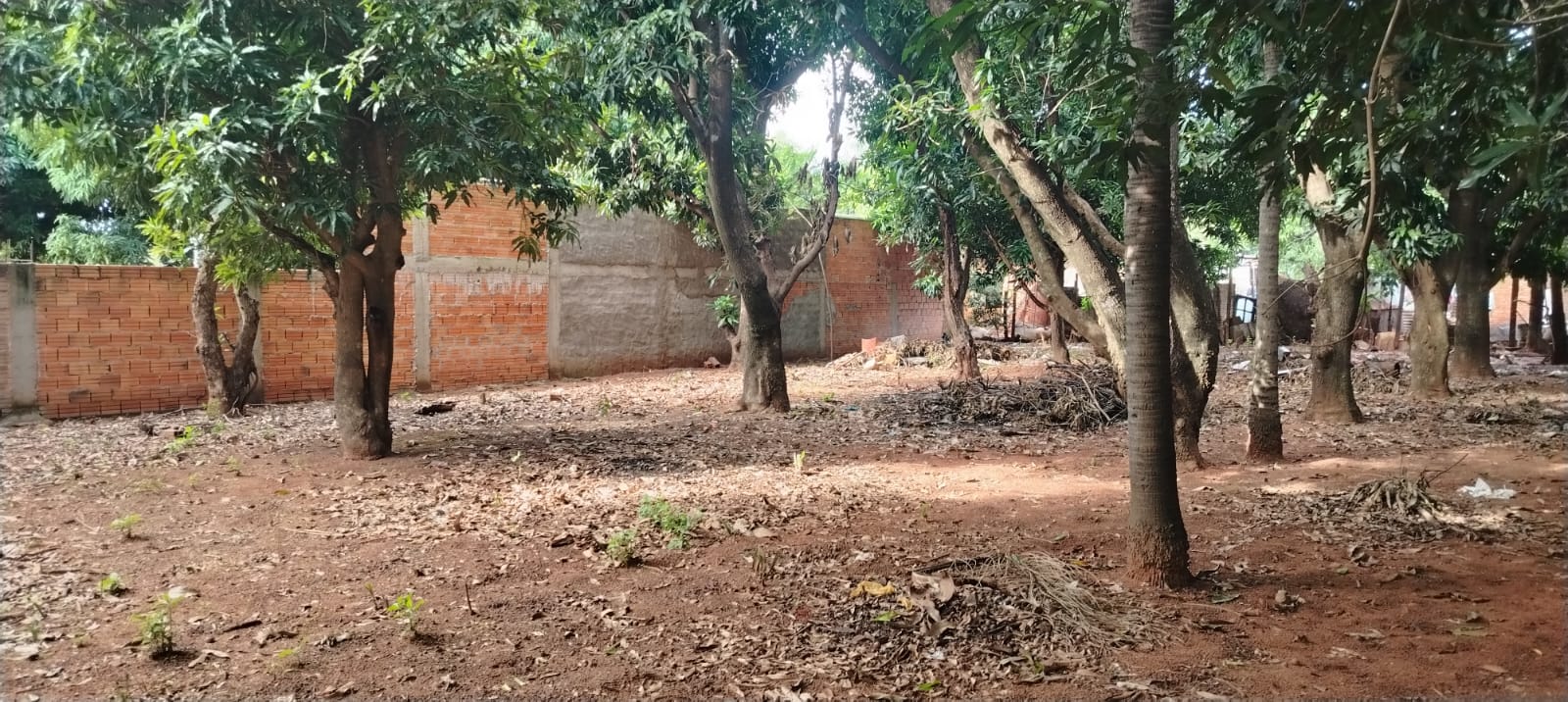 Terreno en venta en Luque — foto 3