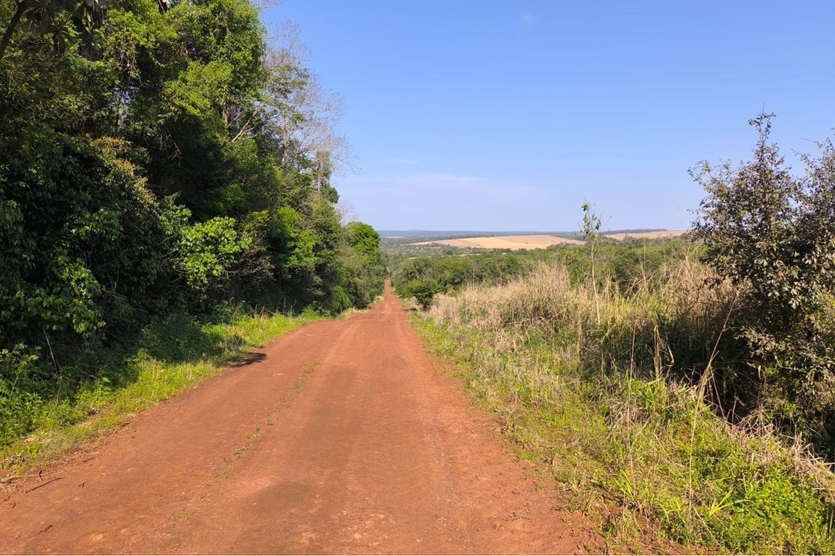 Vendo Terreno en PIRAPÓ, ITAPÚA — foto 3