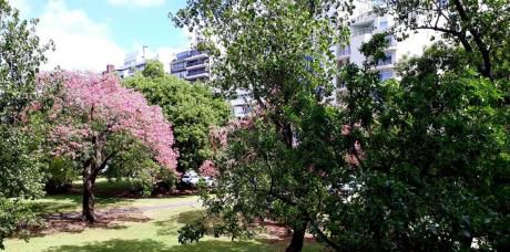 Hermoso Apartamento Con Balcon, Tres Dormitorios!!!!!!!!
