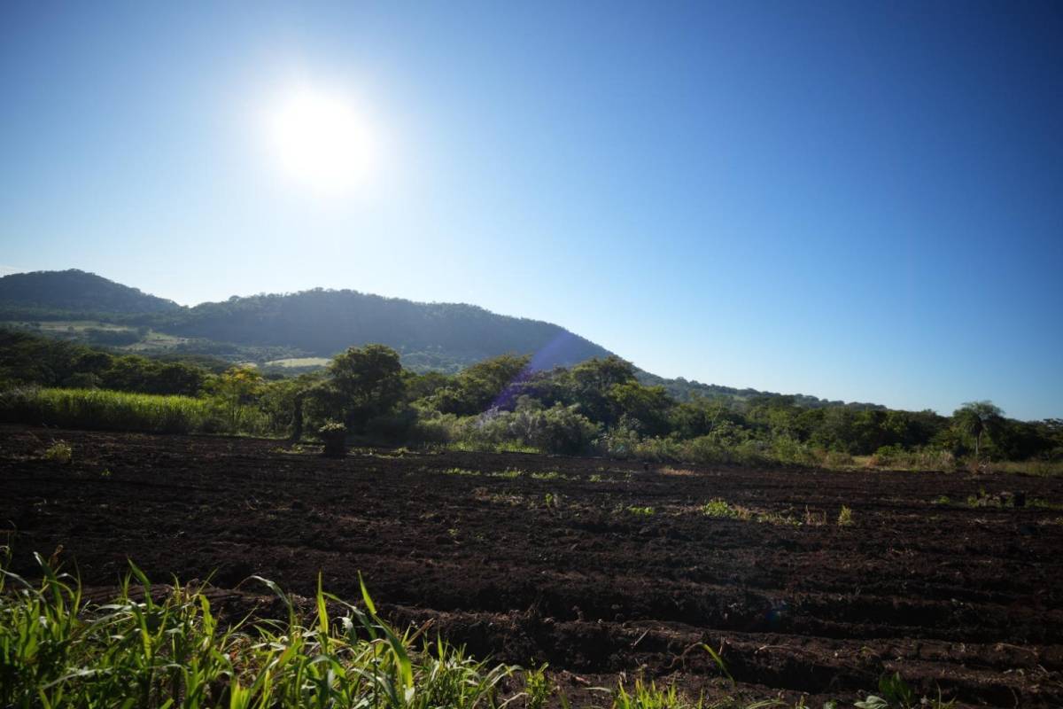 OPORTUNIDAD DE INVERSIÓN, 20 HECTÁREAS EN CERRO CORA - SAPUCAI — foto 2