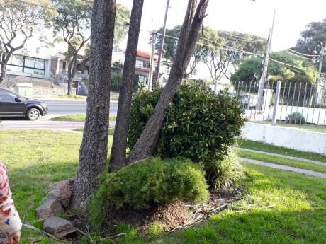 Punta Gorda Casa De Tres Dormitorios. Padrón único. Reciclar.