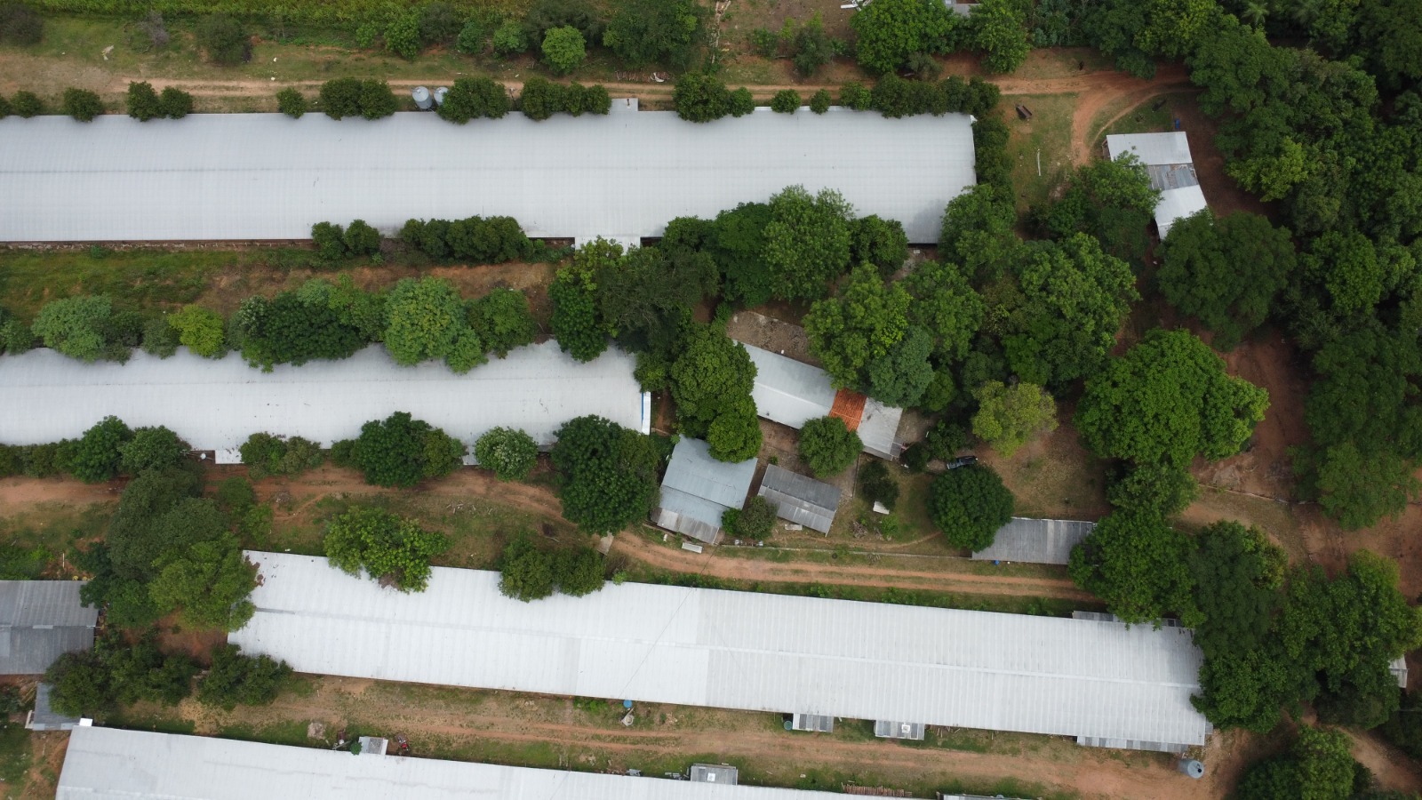 Vendo Granja Avícola En Altos — foto 3