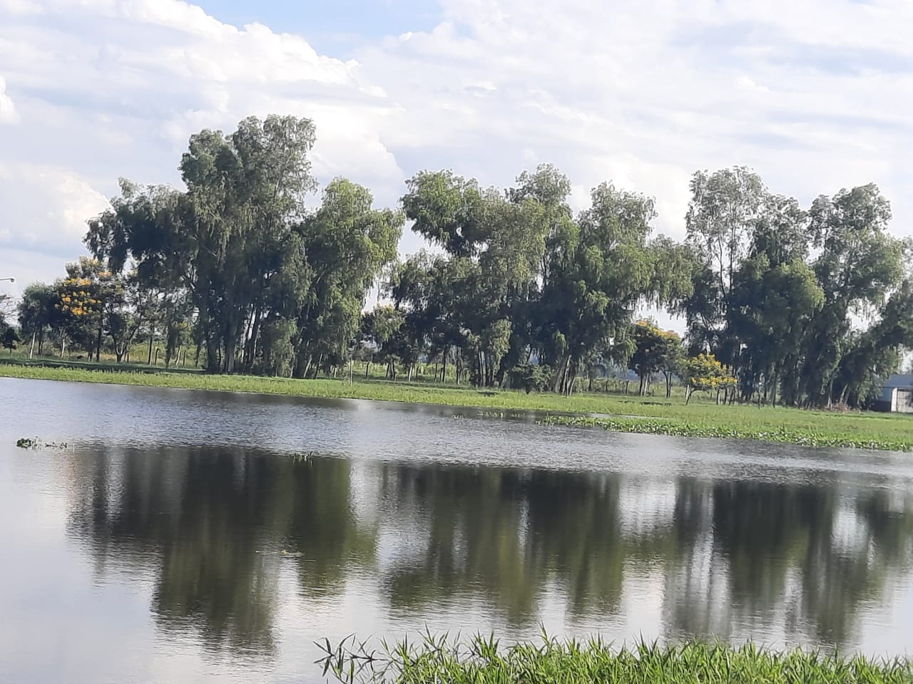 OFERTA REAL, TERRENO SOBRE EL LAGO! NUEVO A LA VENTA ! APROVECHA! — foto 2
