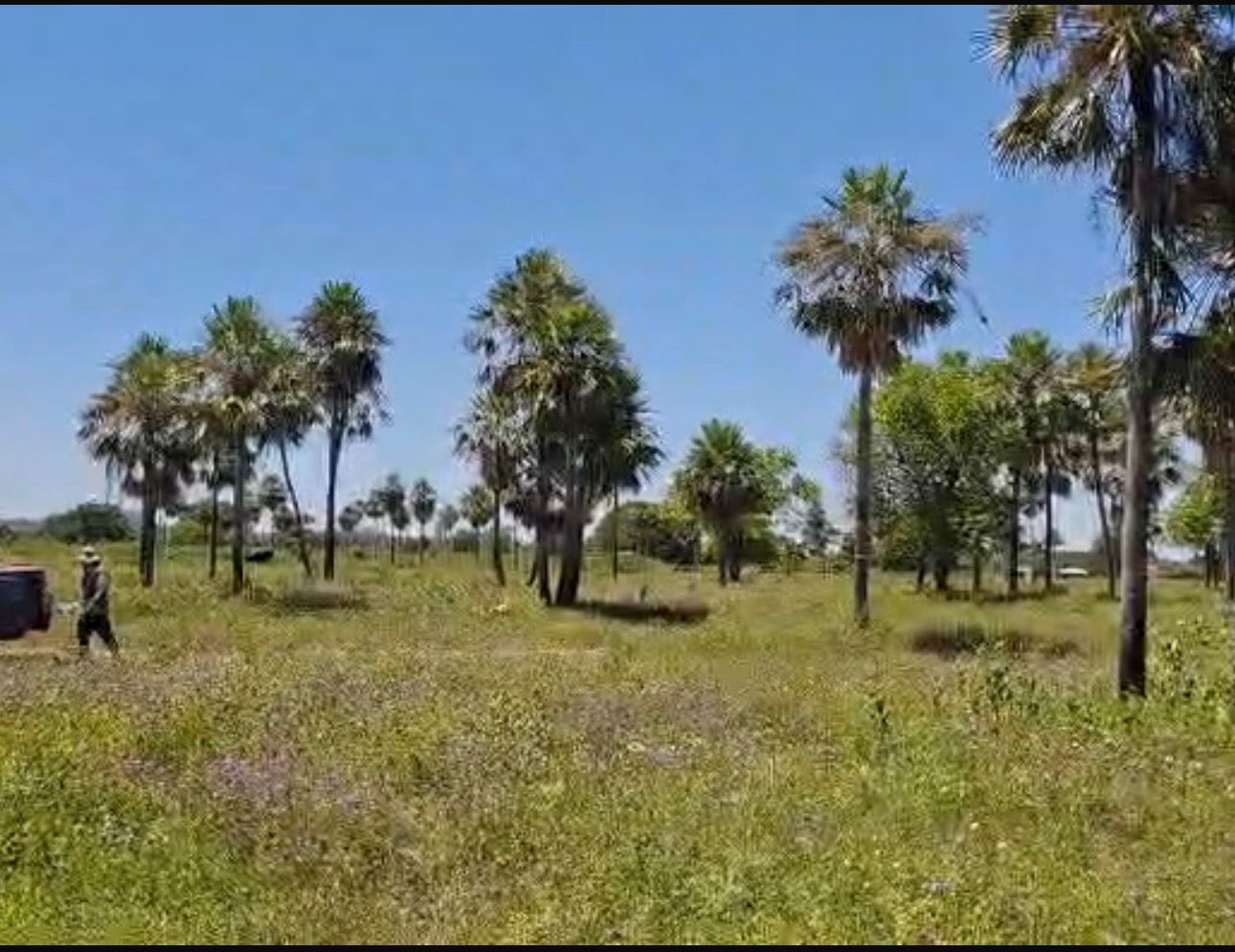 VENDO TERRENO EN CHACOI VILLA HAYES — foto 3