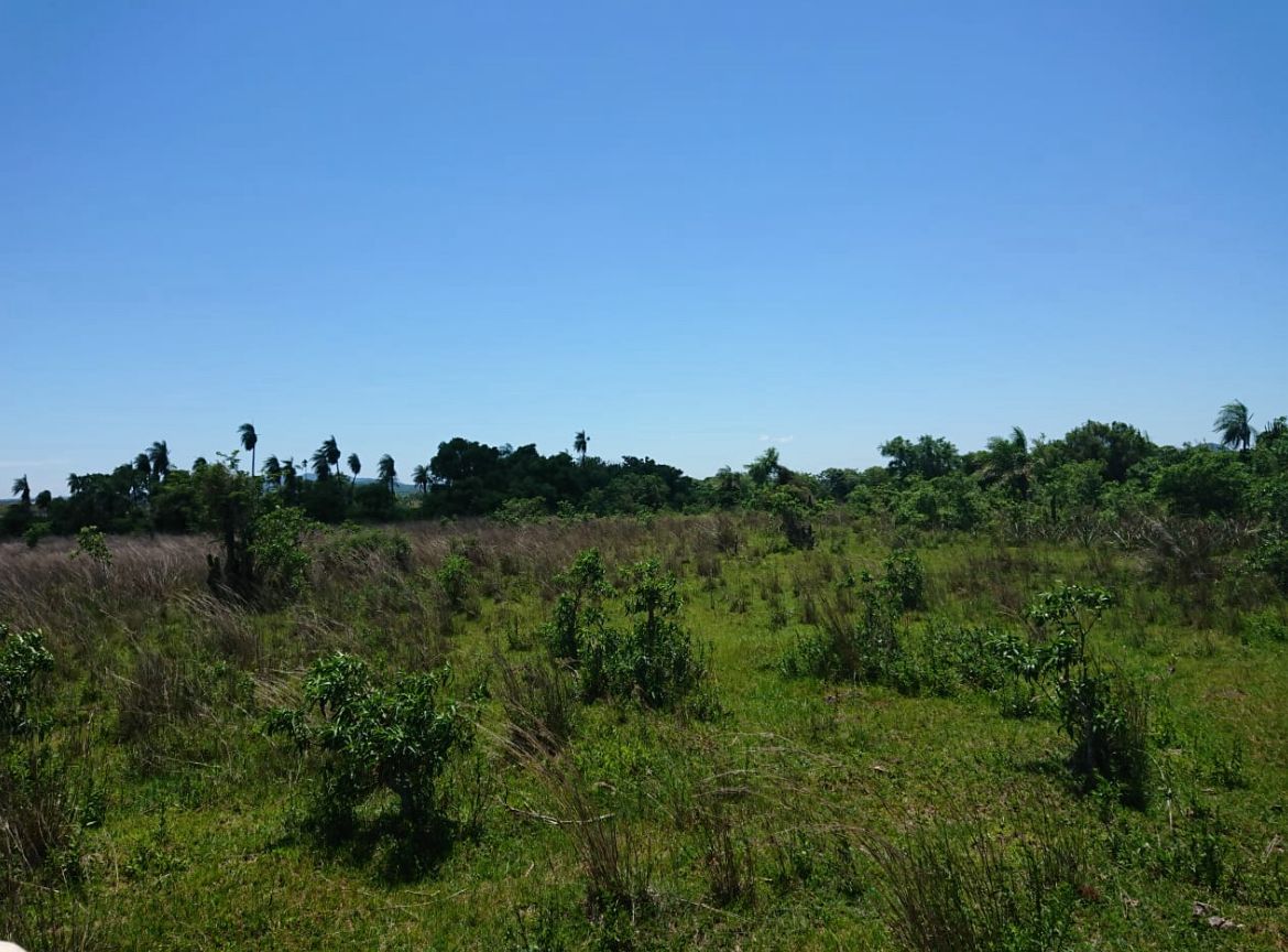 VENDO O ALQUILO CAMPO VIRGEN 5 HAS A TRANFERIR — foto 3