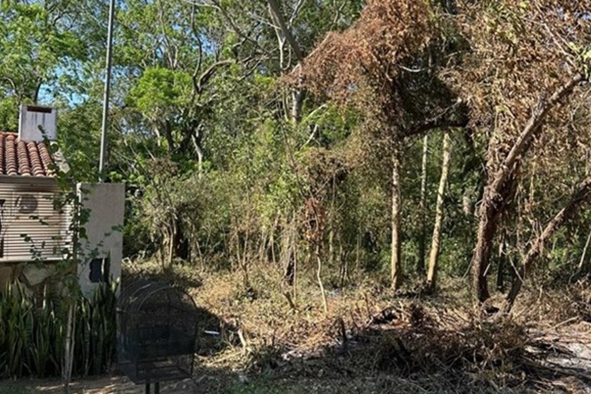Terreno en venta en San Bernandino — foto 2