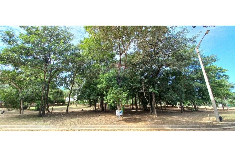 VENDO TERRENO EN SAN BERNARDINO — foto 3
