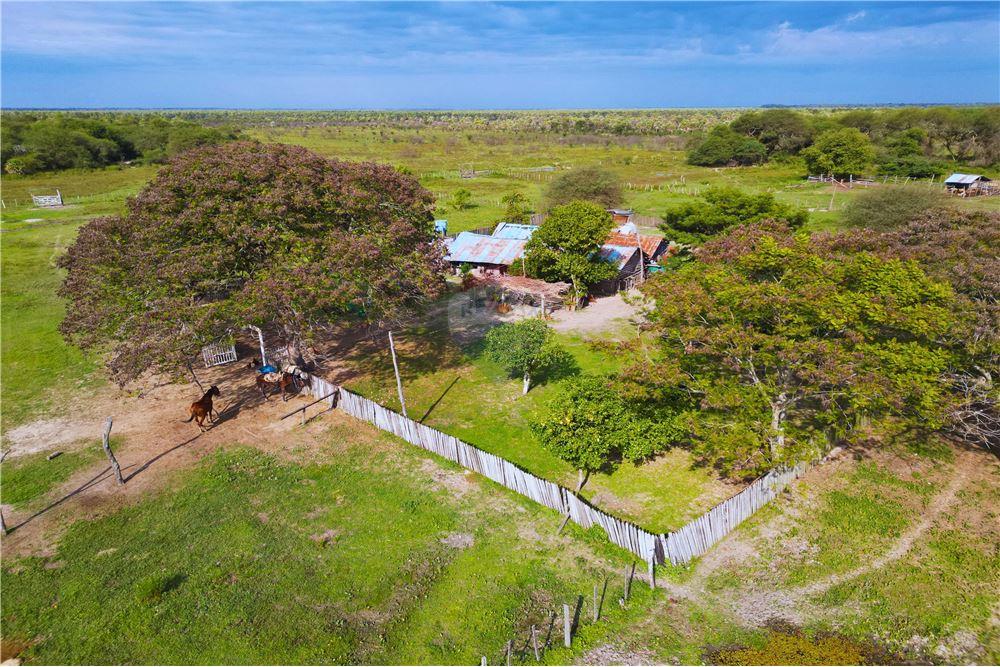 EN VENTA ESTANCIA DE 483H VILLA FRANCA, ÑEEMBUCU, — foto 3