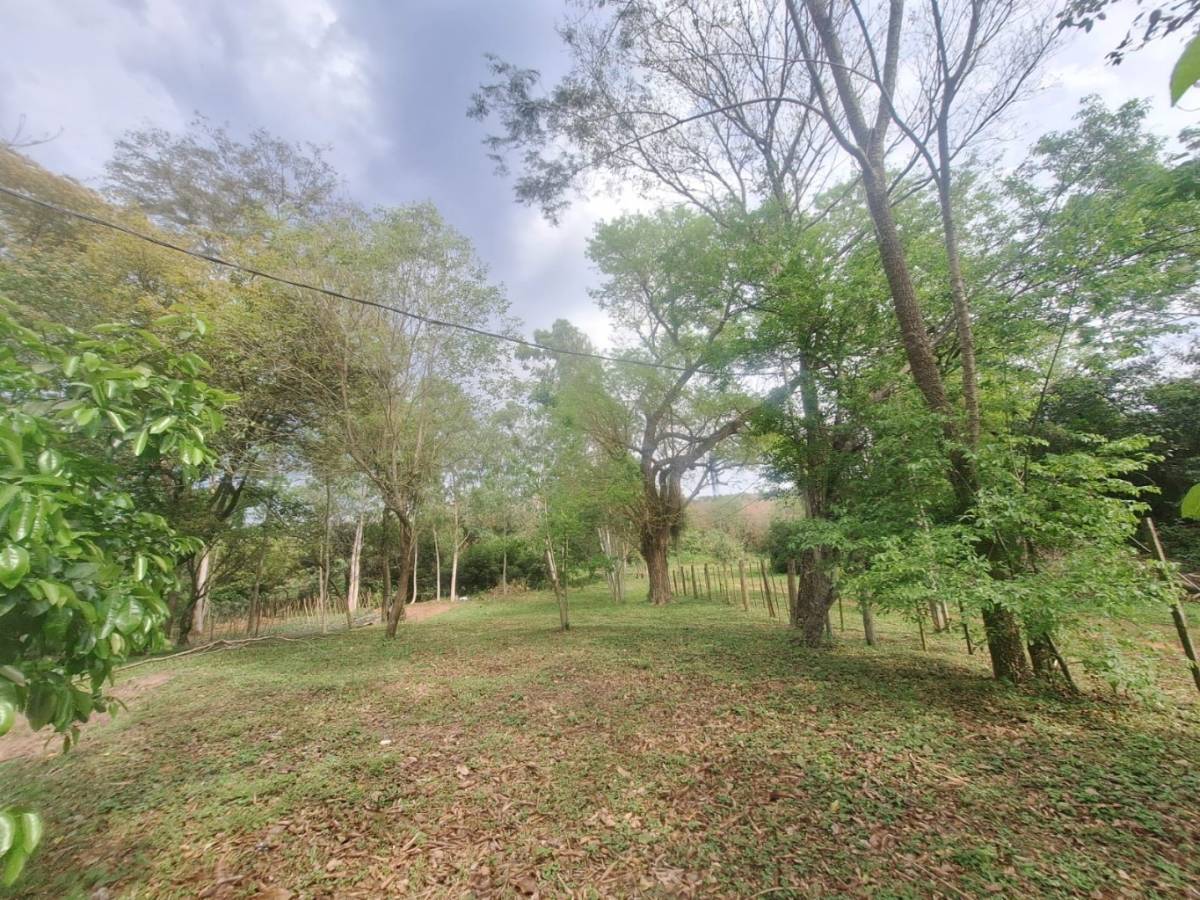 Vendo amplio terreno en Caacupe — foto 2