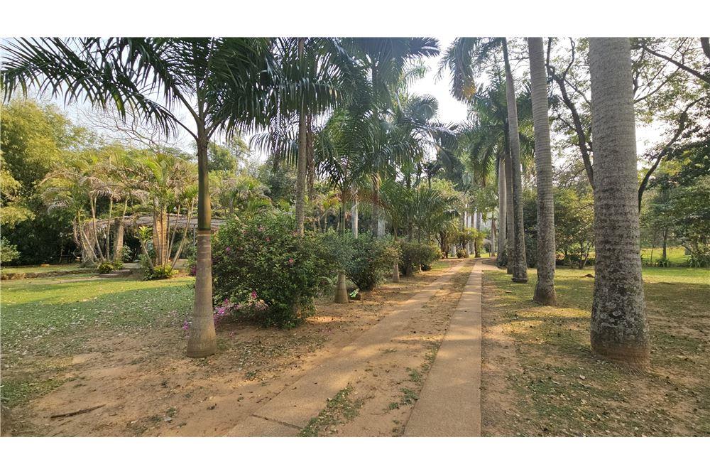 55 HECTAREAS CON ARROYO IDEAL PARA EUCALIPTO — foto 3