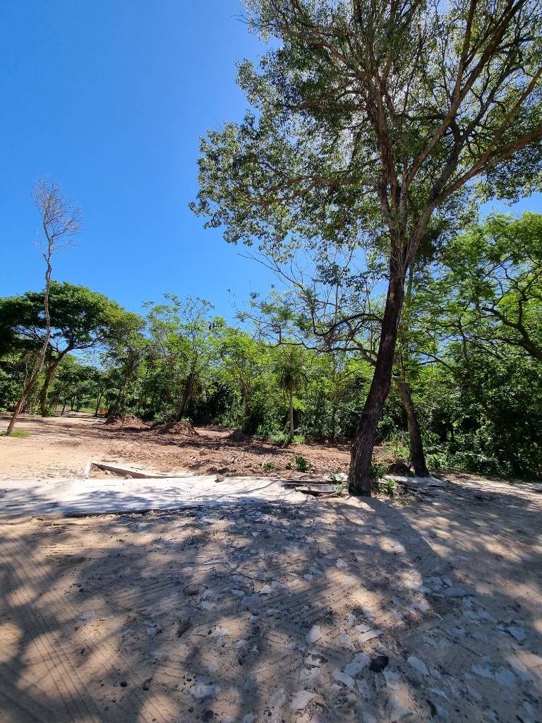 VENDO Terreno en Piedras Blancas - San Bernardino — foto 2