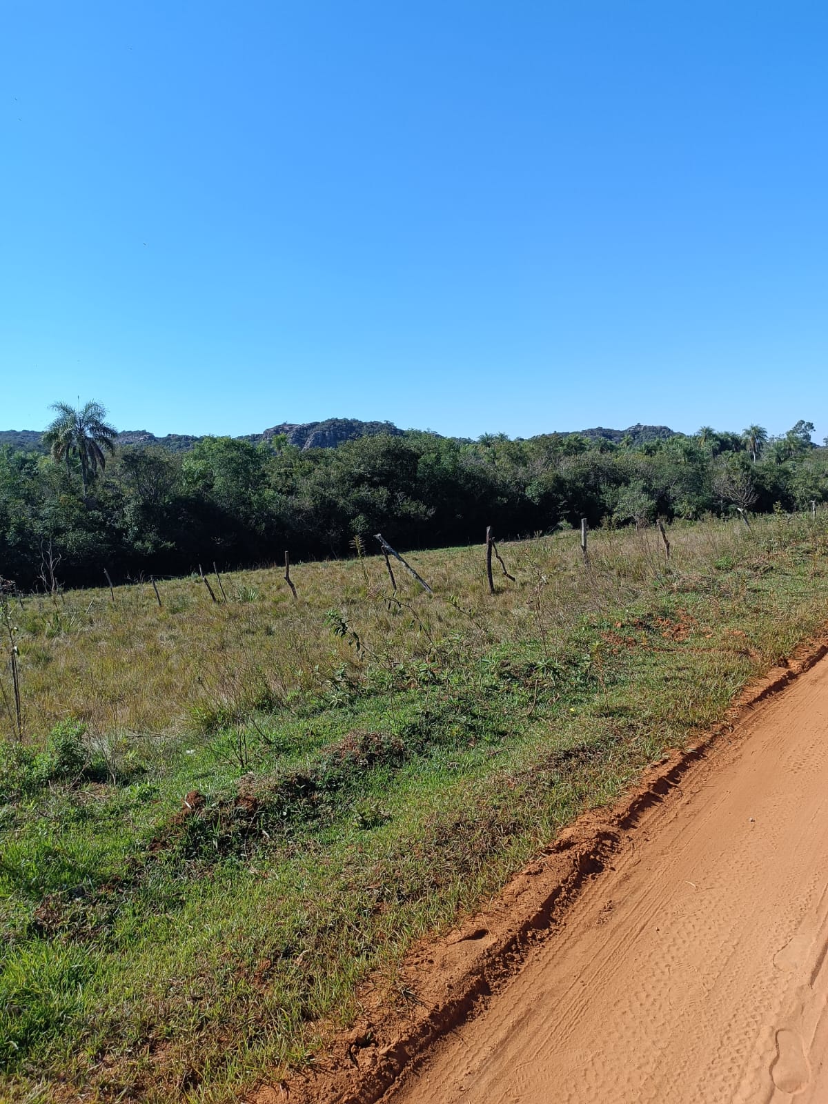 VENDO TRES TERRENOS JUTOS EN PIRIBEBUY — foto 3