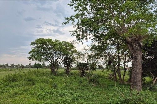 VENDO TERRENO EN FRACCION MONTEPILA VILLA HAYES — foto 3