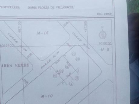 2 Lotes De Terreno En La Av El Palmar Del Oratorio