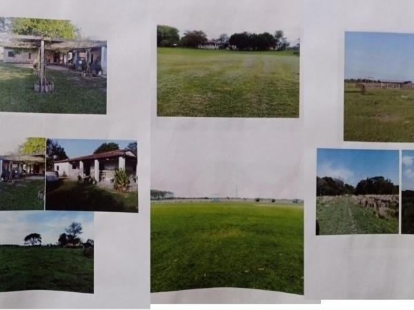 GANADERA EN VENTA TACUARAS ÑEEMBUCÚ — foto 2