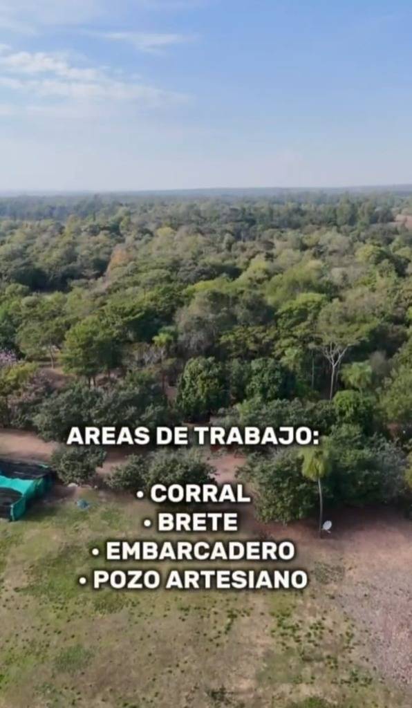 Venta de Propiedad Agrícola en Nueva Colombia, Cordillera — foto 3