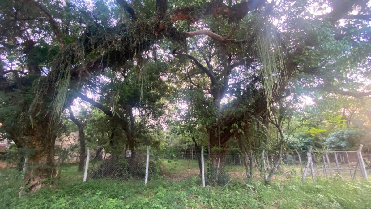 Vendo terreno SADI 1 San Bernardino — foto 3