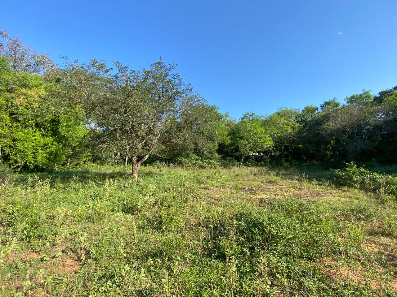 Venta de terrenos juntos en Belvedere Atyra — foto 3