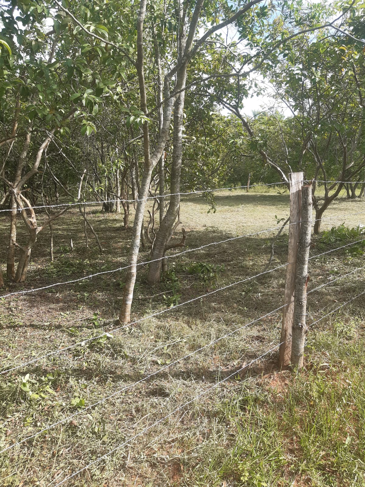 Venta de terreno en Atyra — foto 2