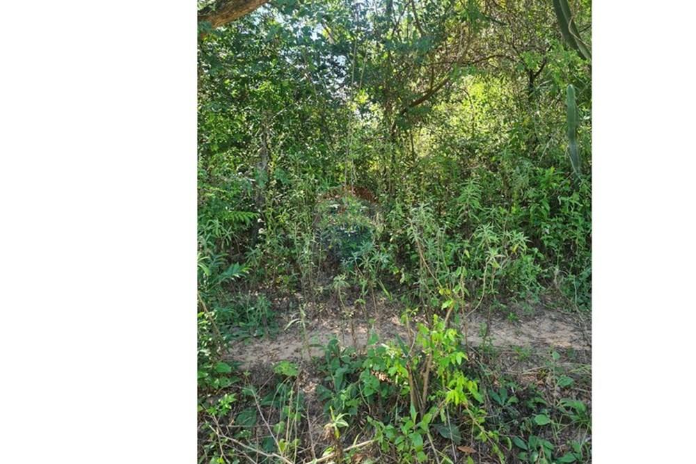 Terreno - Venta - San Roque González de Santa Cruz, Paraguay, Planifica! — foto 2