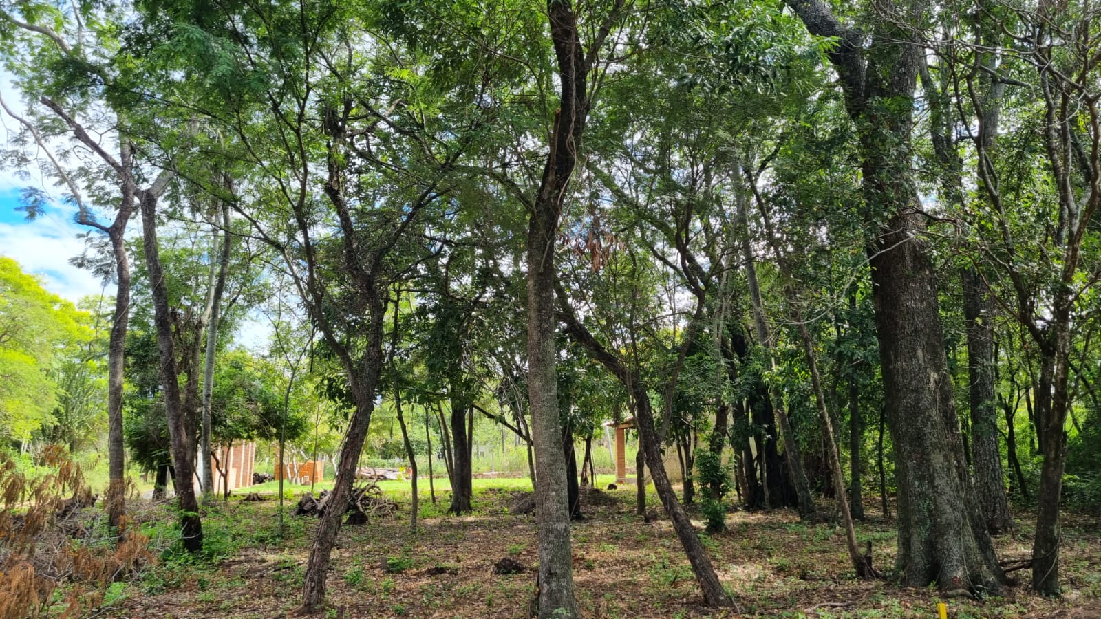 En Venta hermosos terrenos en urbanización Ciervo Cua — foto 3