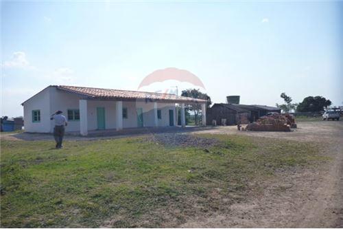 Estancia De 493 Hectareas Sobre Ruta 12 - Presidente Hayes unico — foto 3