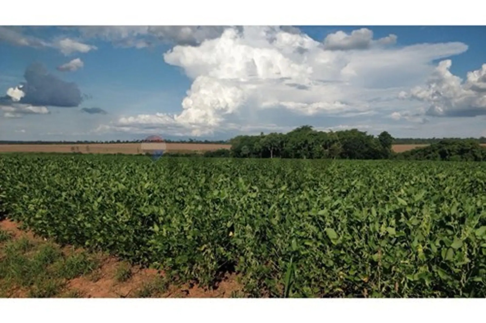 Vendo Estancia Agrícola y Ganadera de 1200 Hectáreas en Santani — foto 2