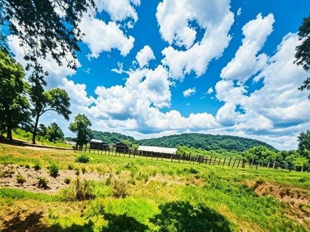 ESTANCIA EN VENTA- CAAPUCU — foto 3