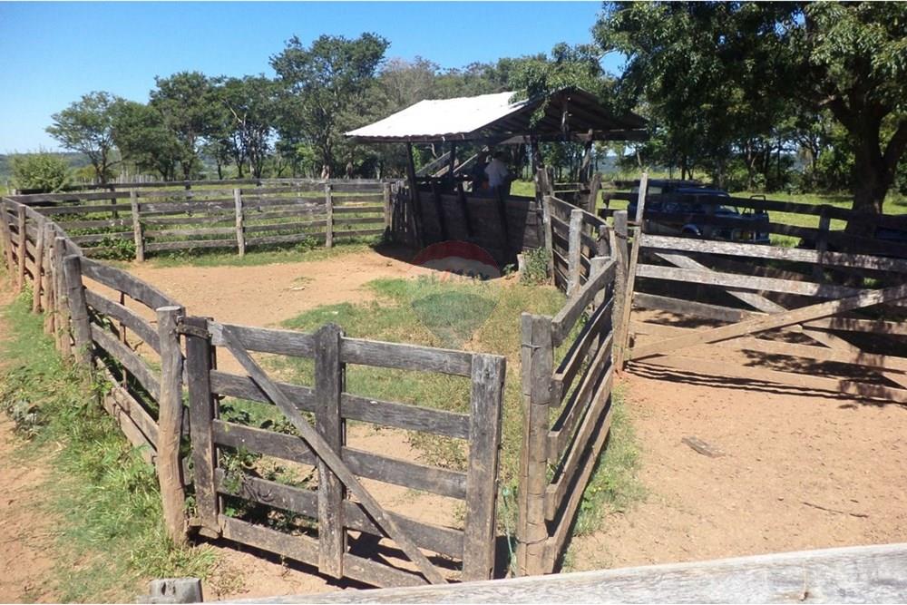 Estancia/Campo - Venta - Isla Pucú, Paraguay — foto 3